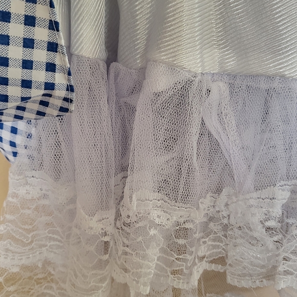 'Wizard of Oz" Blue and White Gingham Dorothy Dress - Picture 4 of 5